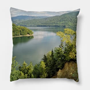 Sunny day in nature Pillow