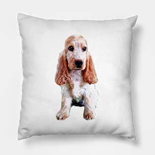 Cocker Spaniel Orange Roan Puppy English Cocker Pillow