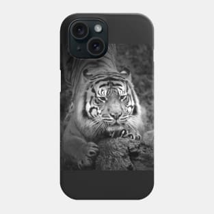 Play Time Phone Case