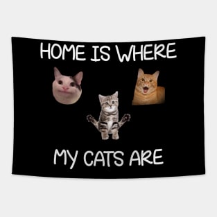 Home Is Where My Cats Are Cat Meme Tapestry