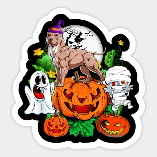 Pitbull in Halloween Pumpkin Magnet