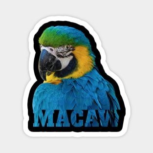 Beautiful Blue and Gold Macaw Parrot Image and Word Magnet