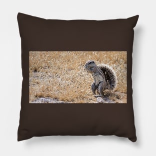 Ground squirrel. Pillow