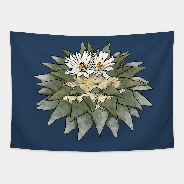 ARIOCARPUS SP. By AgaCactus (writeless variant) Tapestry by AgaCactus