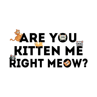 Are You Kitten Me Right Meow T-Shirt