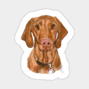 Young Vizsla Puppy Dog from sketch to portrait Magnet