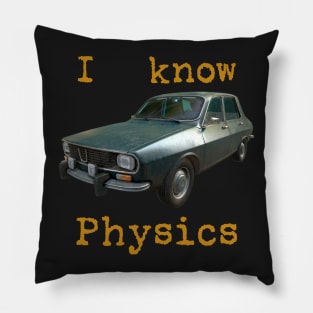 PUBG Physics Pillow