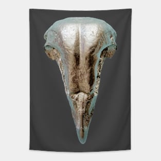 Metal model of a Barn Owl Skull Tapestry