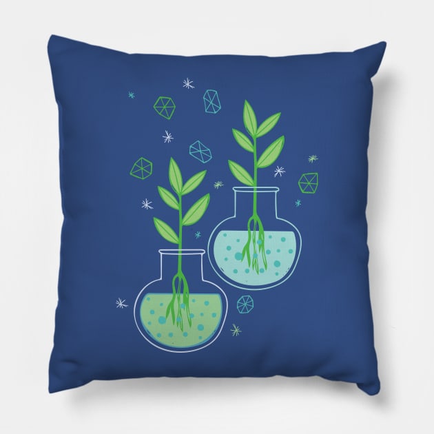 Botany Pillow by Jackie Hurd