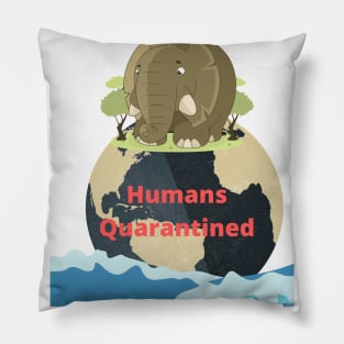 Global Pillow