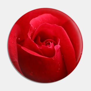 In the Heart of a Red Rose Pin