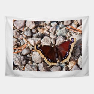 Mourning Cloak Tapestry