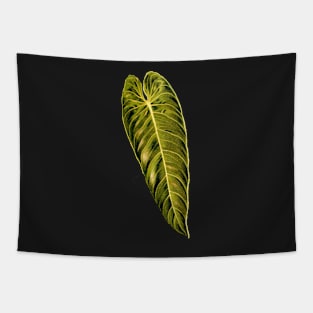 Philodendron melanochrysum leaf botanical illustration Tapestry