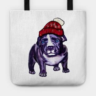 pit bull dog puppy in a red beanie hat - cute blue line pittie with piercing blue eyes Tote