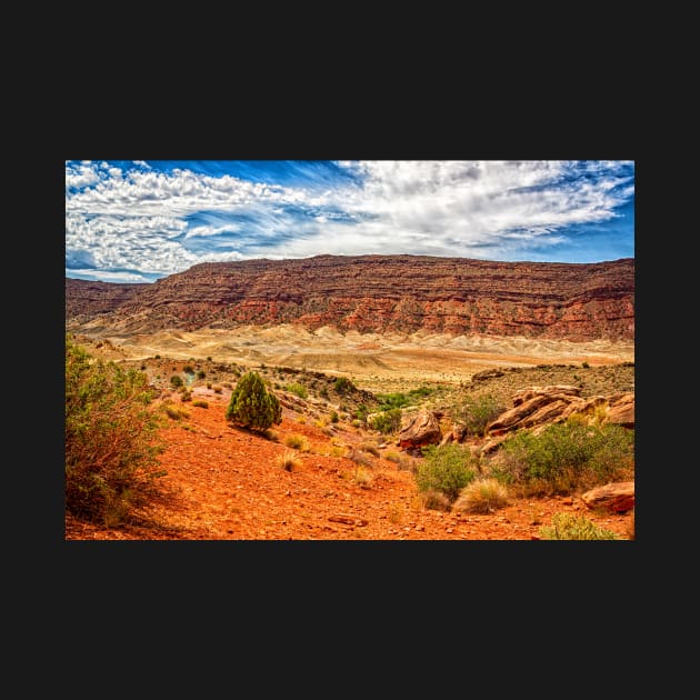 Arches National Park, Moab Utah by Gestalt Imagery