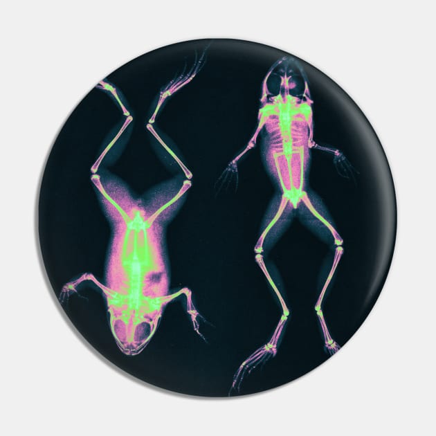 Magic Frog X Rays Pin by Trippycollage