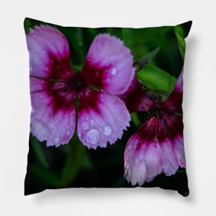 Summer Flowers. Pillow