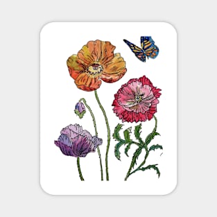 Poppy Watercolour Pretty on White Magnet