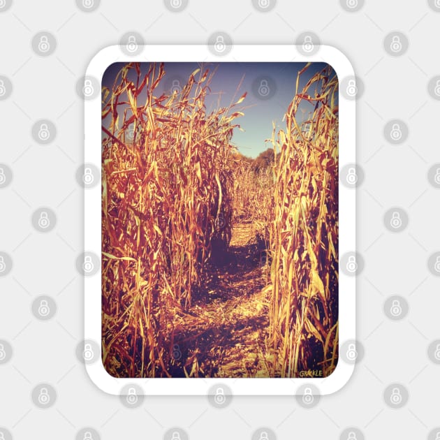 Lost In the Corn Maze Magnet by Jan Grackle