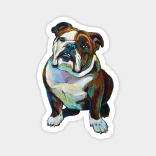 Beautiful BULLDOG Magnet