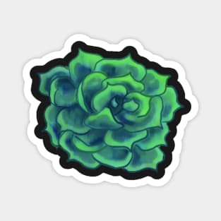 Cute Watercolor Digital Succulent Plant Sticker Magnet