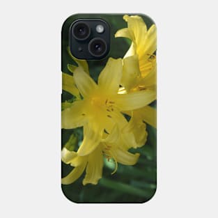 Flowers Blooming. Phone Case