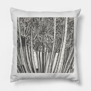 Botanical Plant Study Pillow