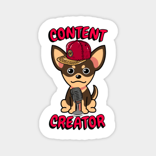 Cute small dog is a content creator Magnet