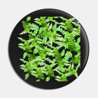 Fern Fronds en Masse Pin