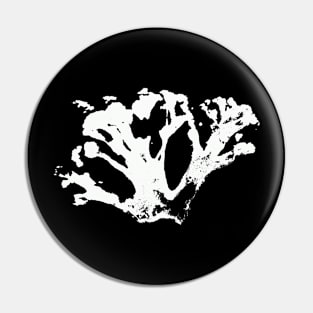 Cauliflower - Vegetables - BOTANICAL Pin