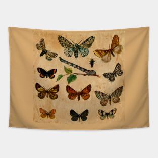 Butterfly Tapestry