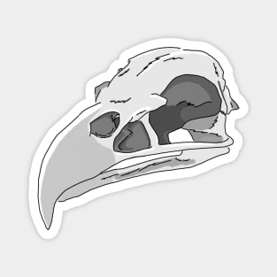 Bald Eagle Skull Magnet