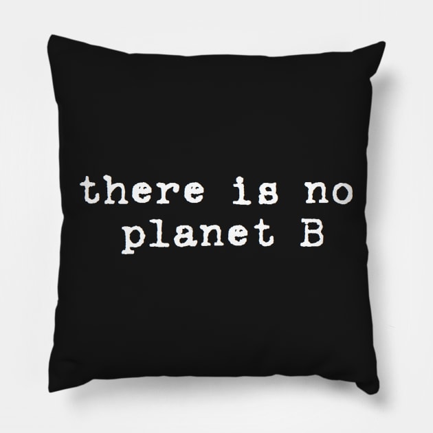 there is no planet b Pillow by clbphotography33