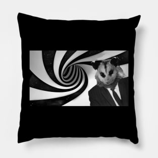 Twilight of the Possum Pillow