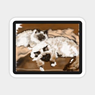 Furry Birman Cat Kittie Magnet