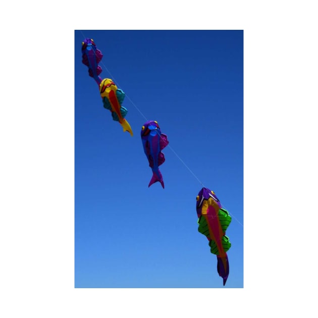 Berkeley Kite Festival by IgorPozdnyakov