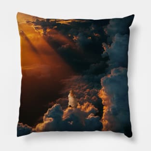 Searching for Anima Pillow