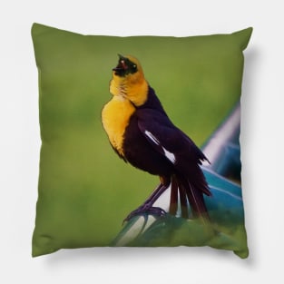 Song of a Blackbird - Yellow-headed Blackbird Pillow