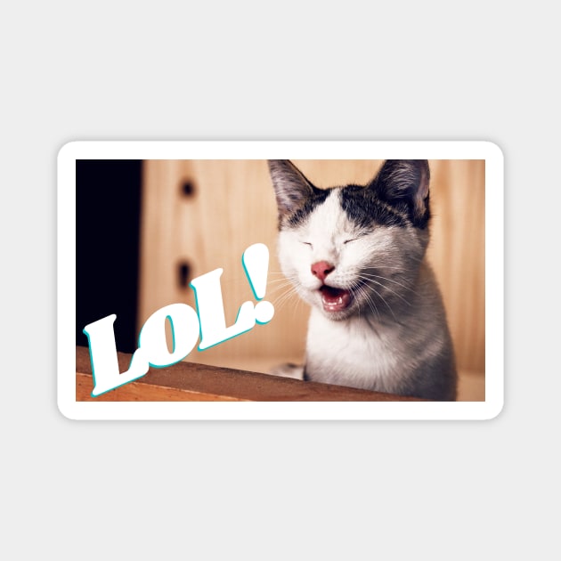 Kitty LoL Magnet by Stupid Coffee Designs