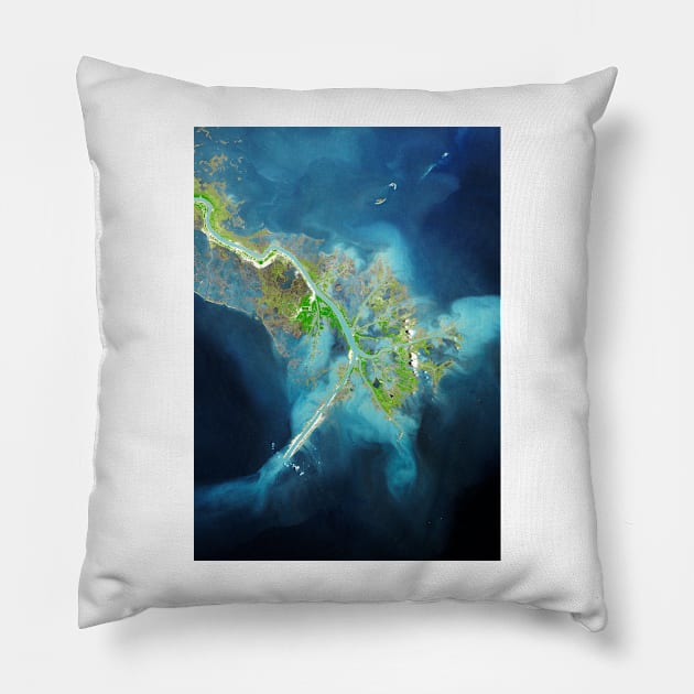 Mississippi Delta, satellite image (C007/1232) Pillow by SciencePhoto