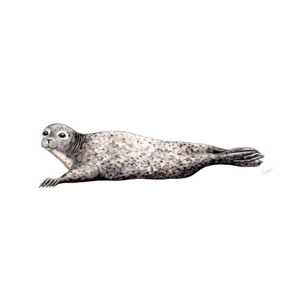 Harbour seal by chloeyzoard