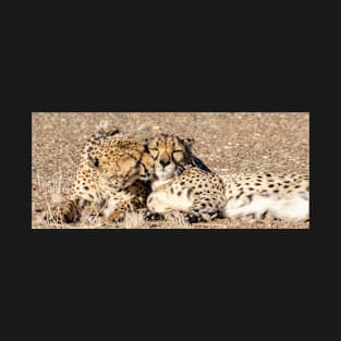 Two cheetah. T-Shirt