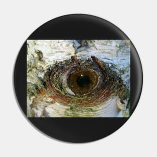 Eye Of The Birch Pin