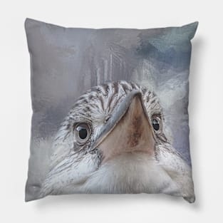 Kookaburra Close Up Pillow