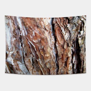 tree bark, tree trunk, tree, trees, nature Tapestry