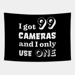 I got 99 cameras and I only use one Tapestry