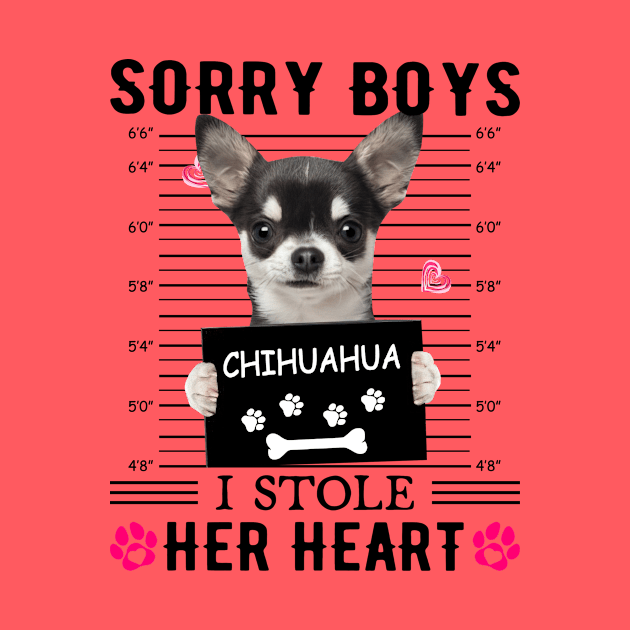 Black Chihuahua Sorry Boys I Stole Her Heart by PlumleelaurineArt