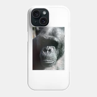 Chimpanzee Phone Case