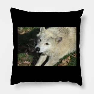 Wolf Pillow