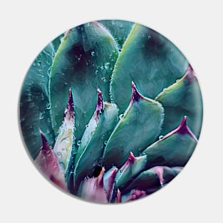 Focal zoom illustration of purple blue houseleek flower plant Pin